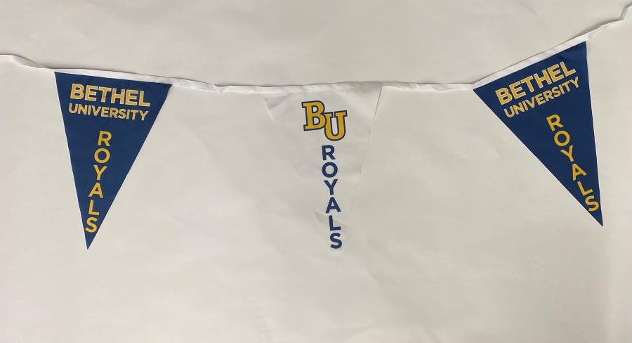 BANNER TRIANG BLU&WHT 35&