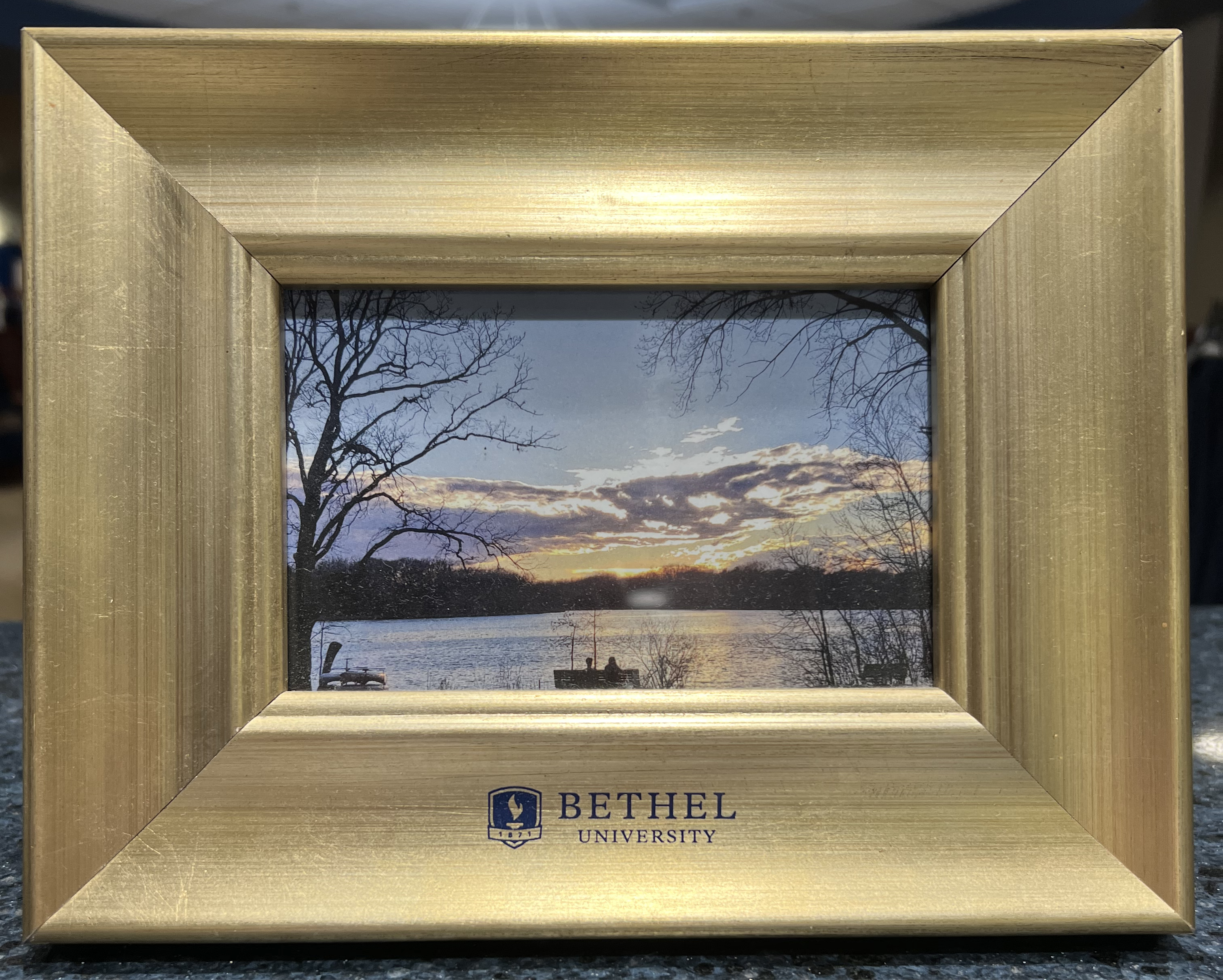 FRAME GOLD SHLD LOGO NVY