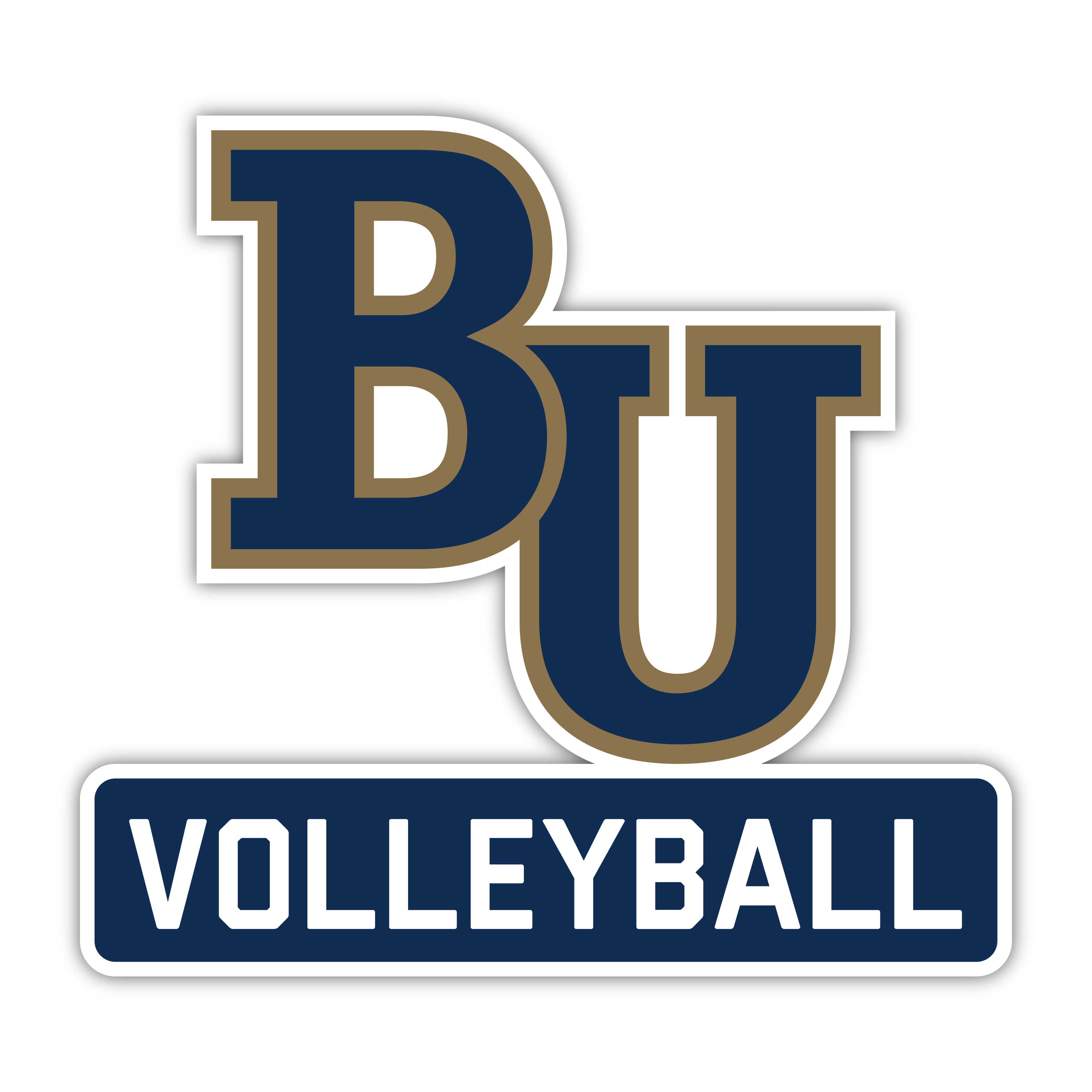Volleyball Decal