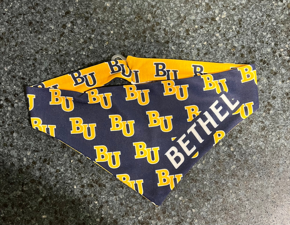 PET BANDANA NVY W GLD