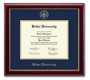 Gold Embossed Diploma Frame in Gallery, Navy